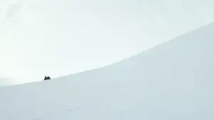 Задник к фильму "Каннибал" #697821