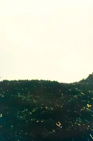 Постер к фильму "Каменный остров" #382771