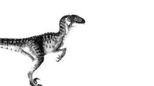 Задник к фильму "Парк Юрского периода" #181494