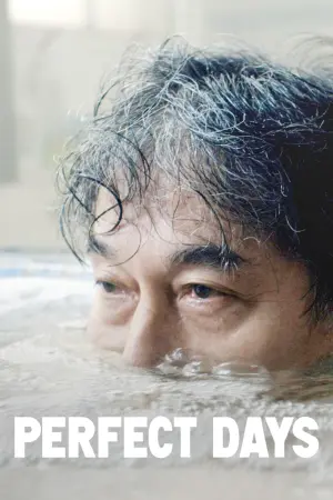 Постер к фильму "Идеальные дни" #366092
