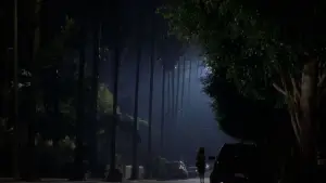 Задник к фильму "Малхолланд Драйв" #608672