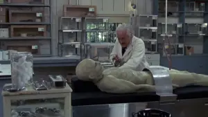 Задник к фильму "Ссссссс" #394970