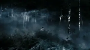 Задник к фильму "Антихрист" #323774