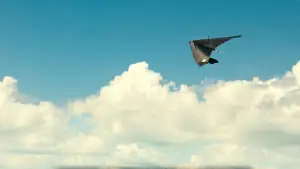 Задник к фильму "You Can