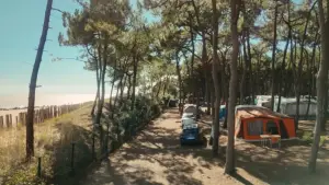 Задник к фильму "Le camping, un siècle de bonheur français" #929548