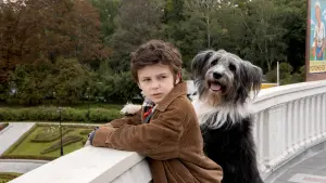 Задник к фильму "Каждый мечтает о собаке" #469688