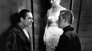 Задник к фильму "Чёрный кот" #452879