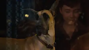 Задник к фильму "Мармадюк" #616777