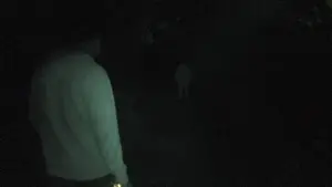 Задник к фильму "Страшные истории: Поэзия и смерть. Том 1" #695801