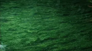 Задник к фильму "Солярис" #731556