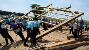 Задник к фильму "Свидетель" #241108