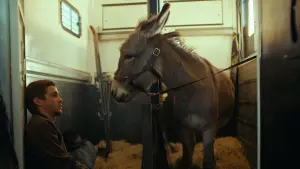 Задник к фильму "Иа" #195303