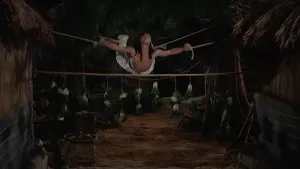 Задник к фильму "Ниндзя пяти стихий" #471106