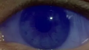 Задник к фильму "Дюна" #528843