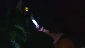 Задник к фильму "За утопией" #190765