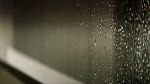 Задник к фильму "Солярис" #702153