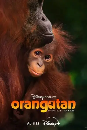 Постер к фильму "Orangutan" #798703