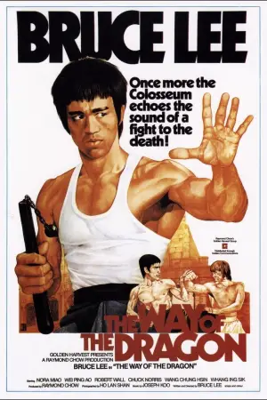 Постер к фильму "Путь дракона" #745728