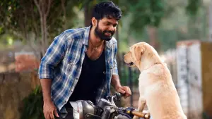 Задник к фильму "777 Чарли" #418944