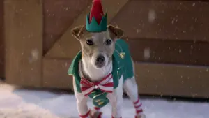 Задник к фильму "Рождественская пятерка" #346733