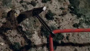 Задник к фильму "007: Только для твоих глаз" #326902