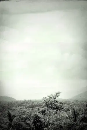 Постер к фильму "Безродные звери" #205737