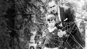 Задник к фильму "Возвращение мухи" #426147