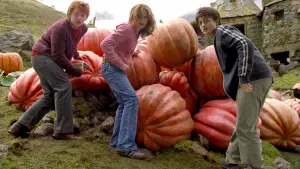 Задник к фильму "Гарри Поттер и узник Азкабана" #487056