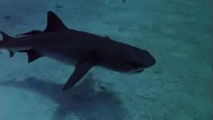 Задник к фильму "" #739944