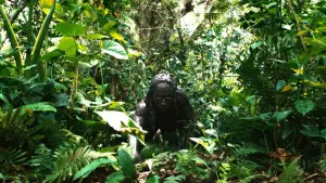 Задник к фильму "Апокалипсис" #443933