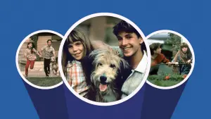 Задник к фильму "" #492118