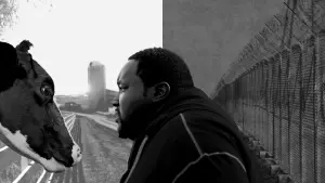 Задник к фильму "На полпути" #502441