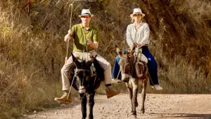 Задник к фильму "" #536622