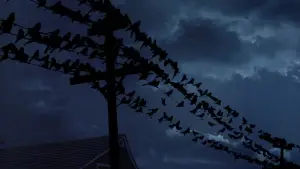 Задник к фильму "Птицы" #677209