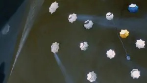 Задник к фильму "Солнце моё" #201574