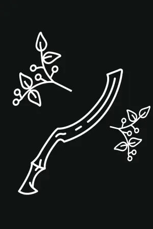 Постер к фильму "The Last Druid" #862259