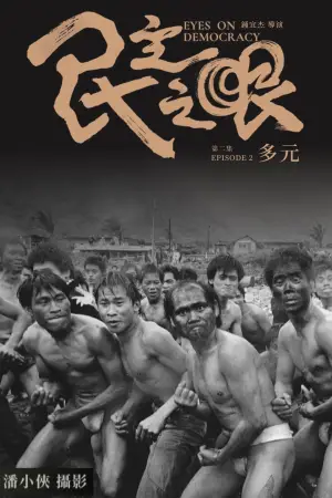 民主之眼：多元
