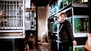 Задник к фильму "Змеиный яд" #471602