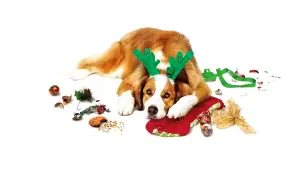 Задник к фильму "Любите Куперов" #309296