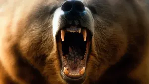 Задник к фильму "На грани" #260045