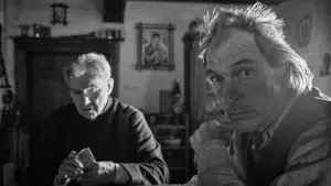 Задник к фильму "Раскрашенная птица" #371966