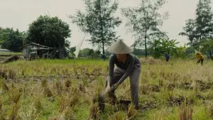 Задник к фильму "" #592078