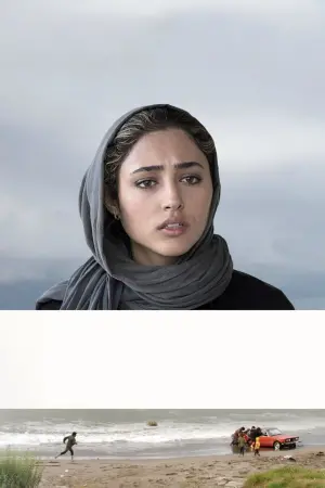 Постер к фильму "История Элли" #215794