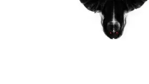 Задник к фильму "" #413377