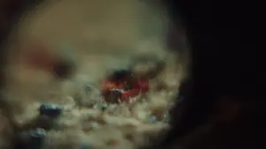 Задник к фильму "Достать ножи" #561351