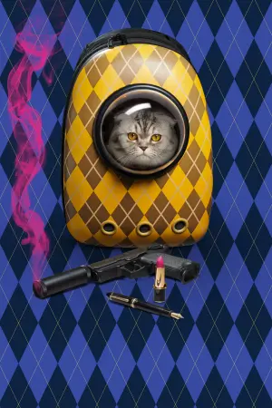 Постер к фильму "Аргайл: Супершпион" #170867