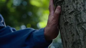 Задник к фильму "Идеальные дни" #529618