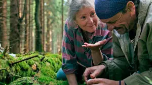 Задник к фильму "След зверя" #491805