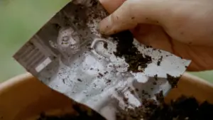 Задник к фильму "" #558433