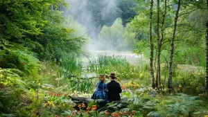 Задник к фильму "Кошачьи миры Луиса Уэйна" #251107